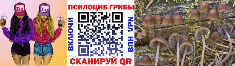 Псилоцибиновые грибы мухоморы  закладка  Южно-Сахалинск 